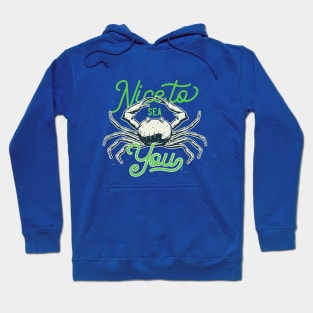 Nice To Sea You - Saying Pun Hoodie